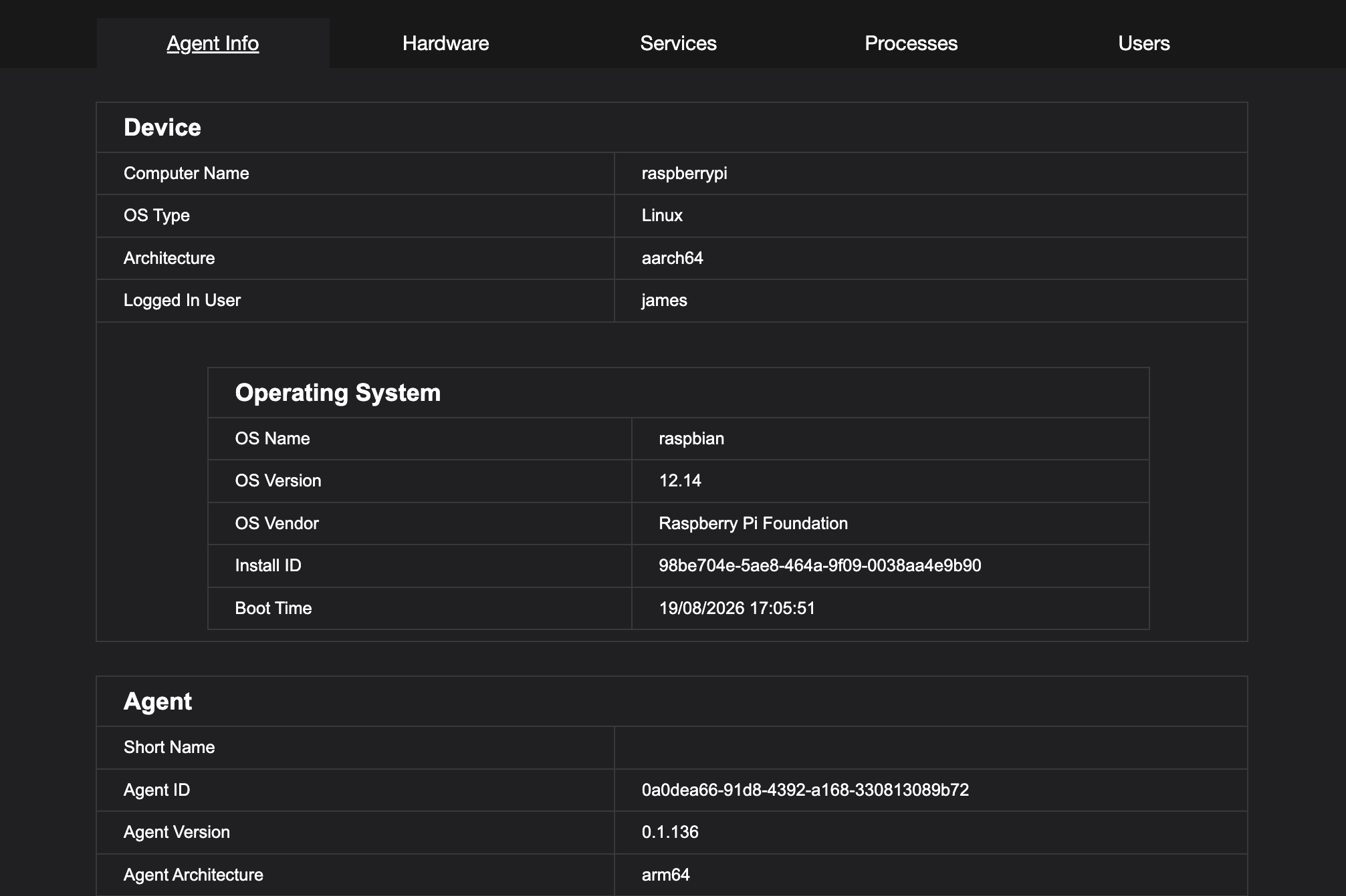 The Agent Info tab, showing details of the agent and the machine it runs on