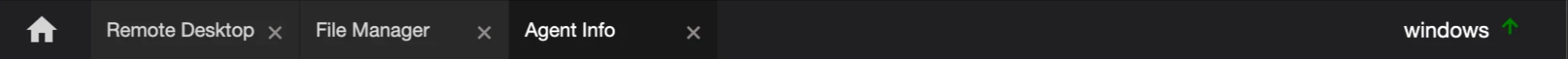 The Agent menu, listing the functions open on an agent