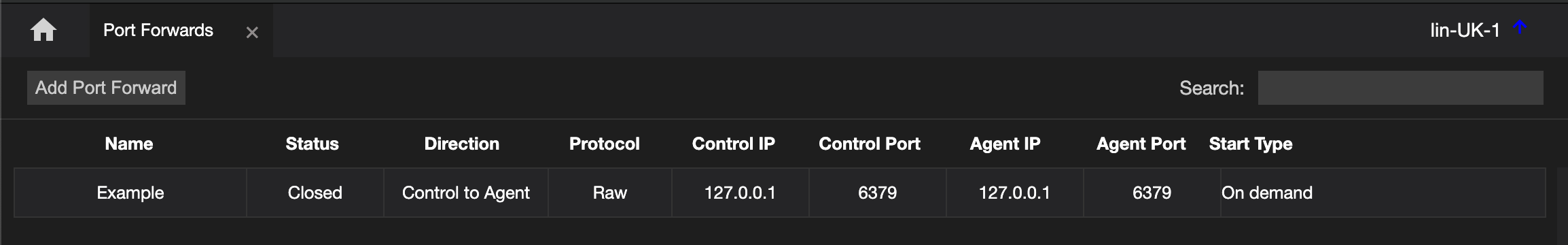 The Port Forwards function, listing the configured forwards