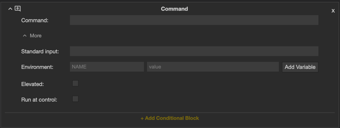 A Command action, which runs a program directly without a shell