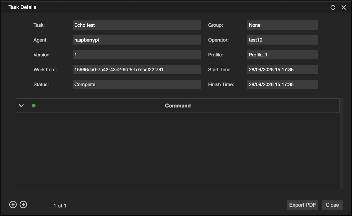A task's work items, with each action's details and output